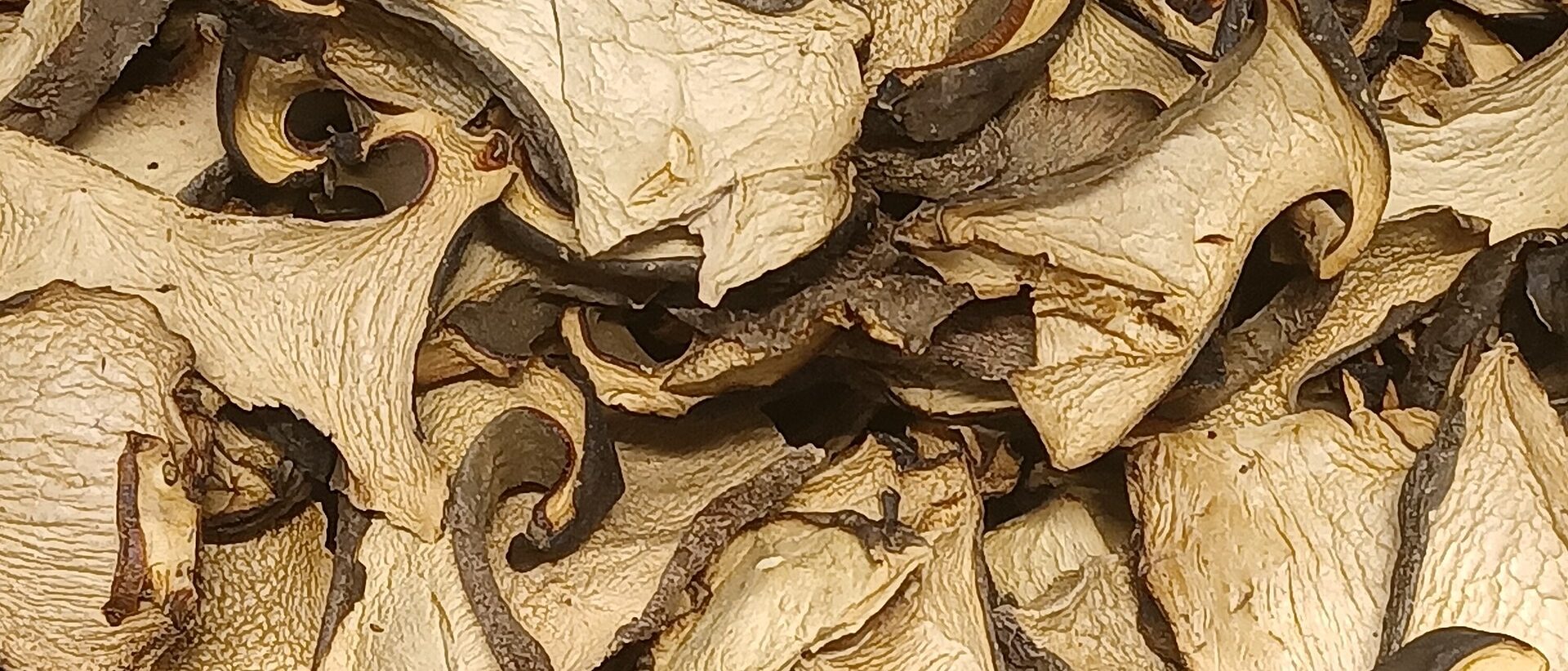 楚雄彝家火塘与菌子味道